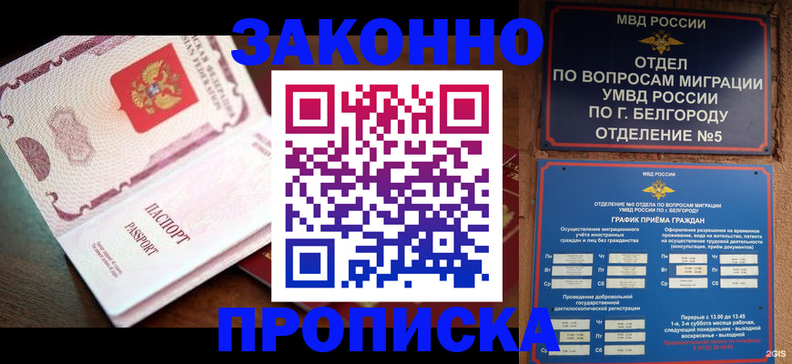 временная регистрация для школы в Мурманске